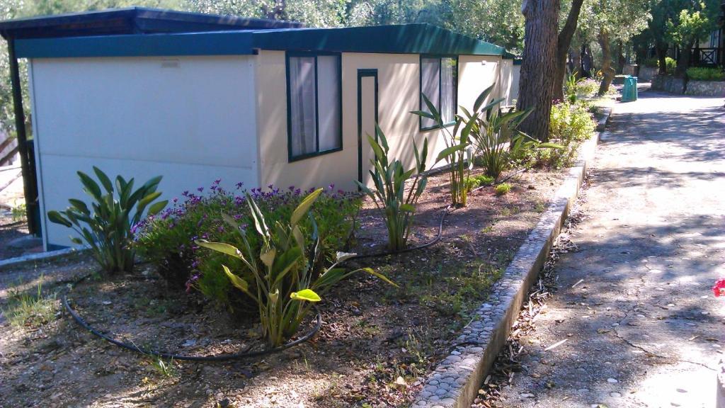 Mobile Home