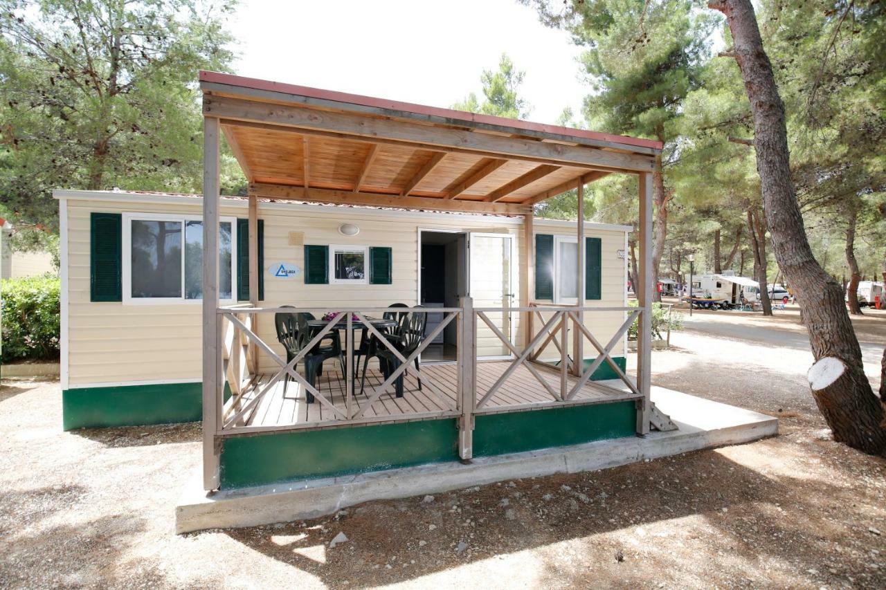 Mobile Home