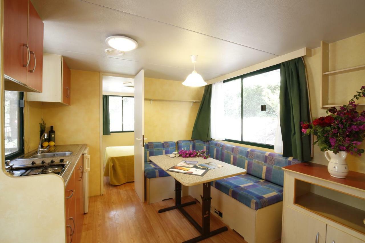 Mobile Home